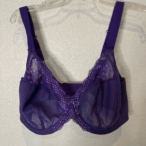 ELOMI NWT 38GG Purple Lace Women's Bra